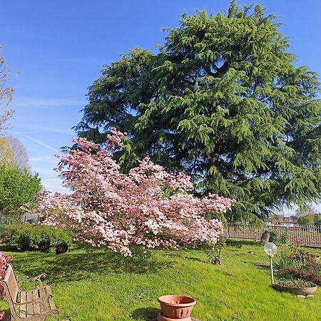 B&B Il Melograno Lomazzo Dış mekan fotoğraf