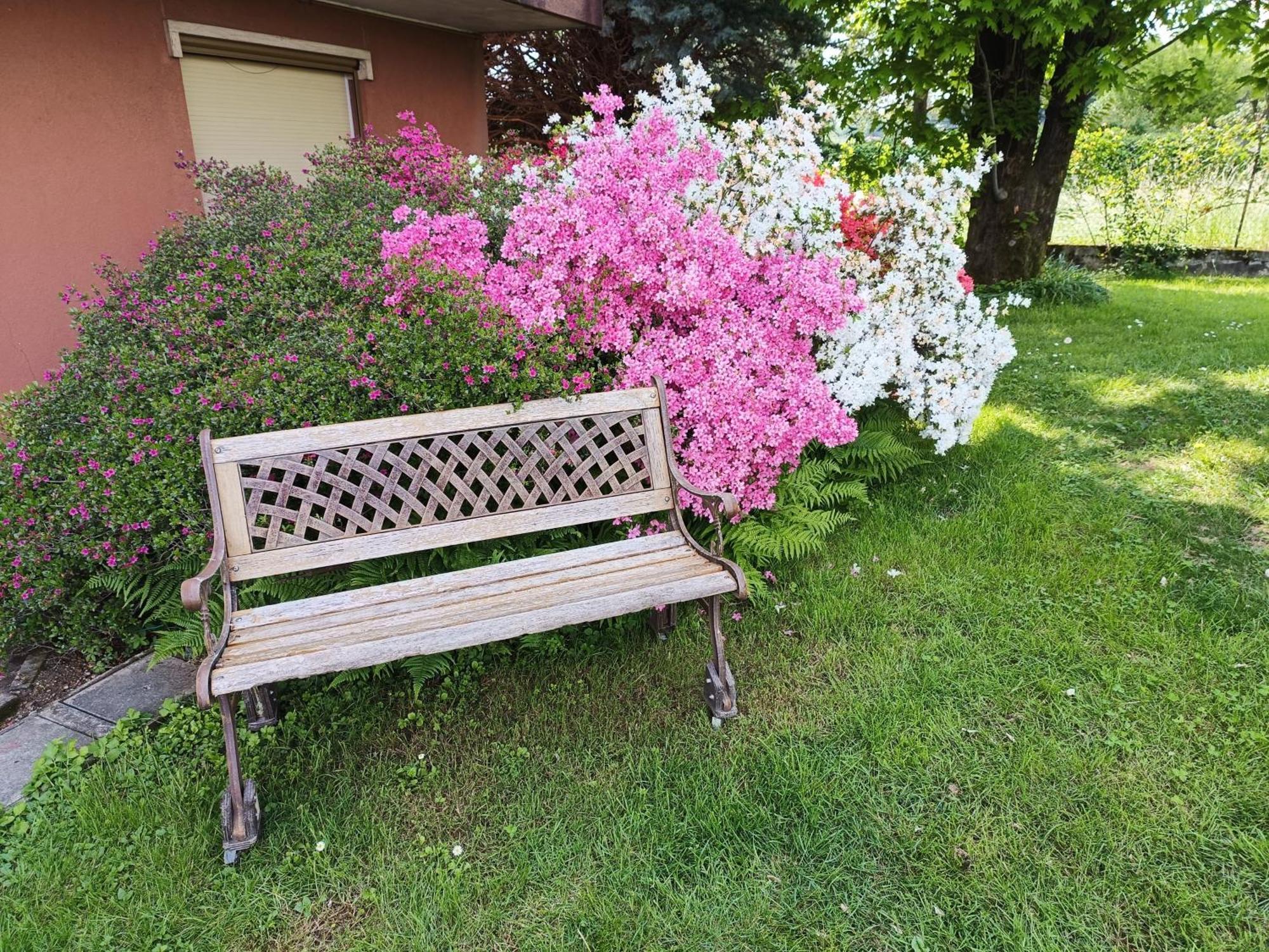 B&B Il Melograno Lomazzo Dış mekan fotoğraf