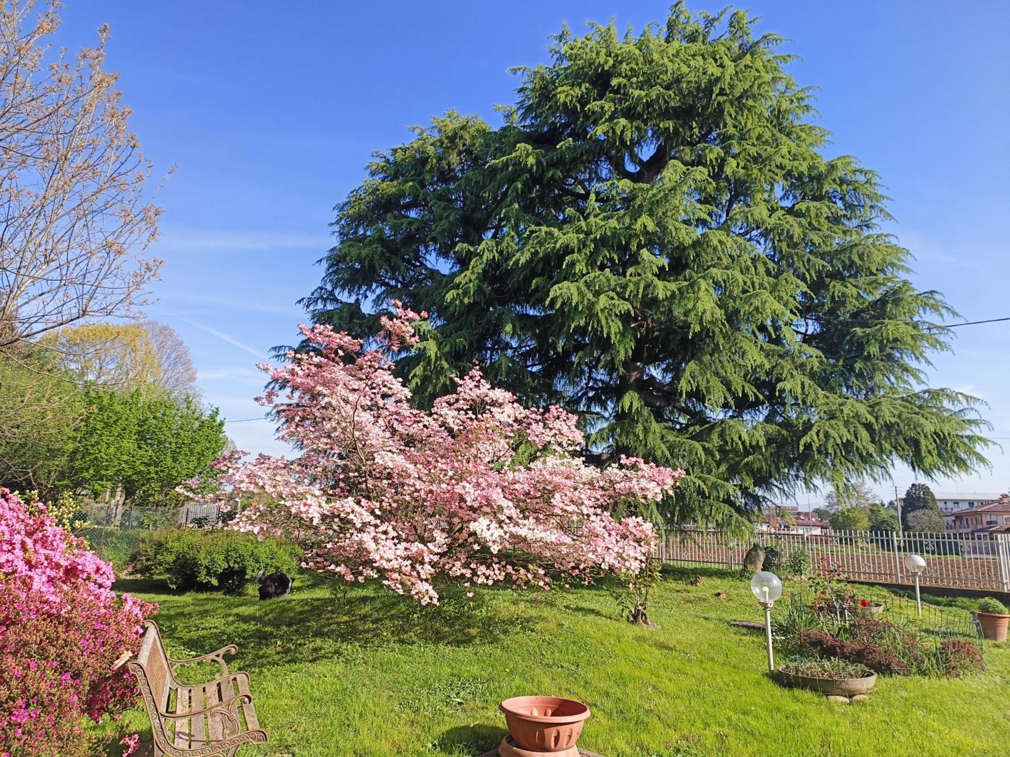 B&B Il Melograno Lomazzo Dış mekan fotoğraf